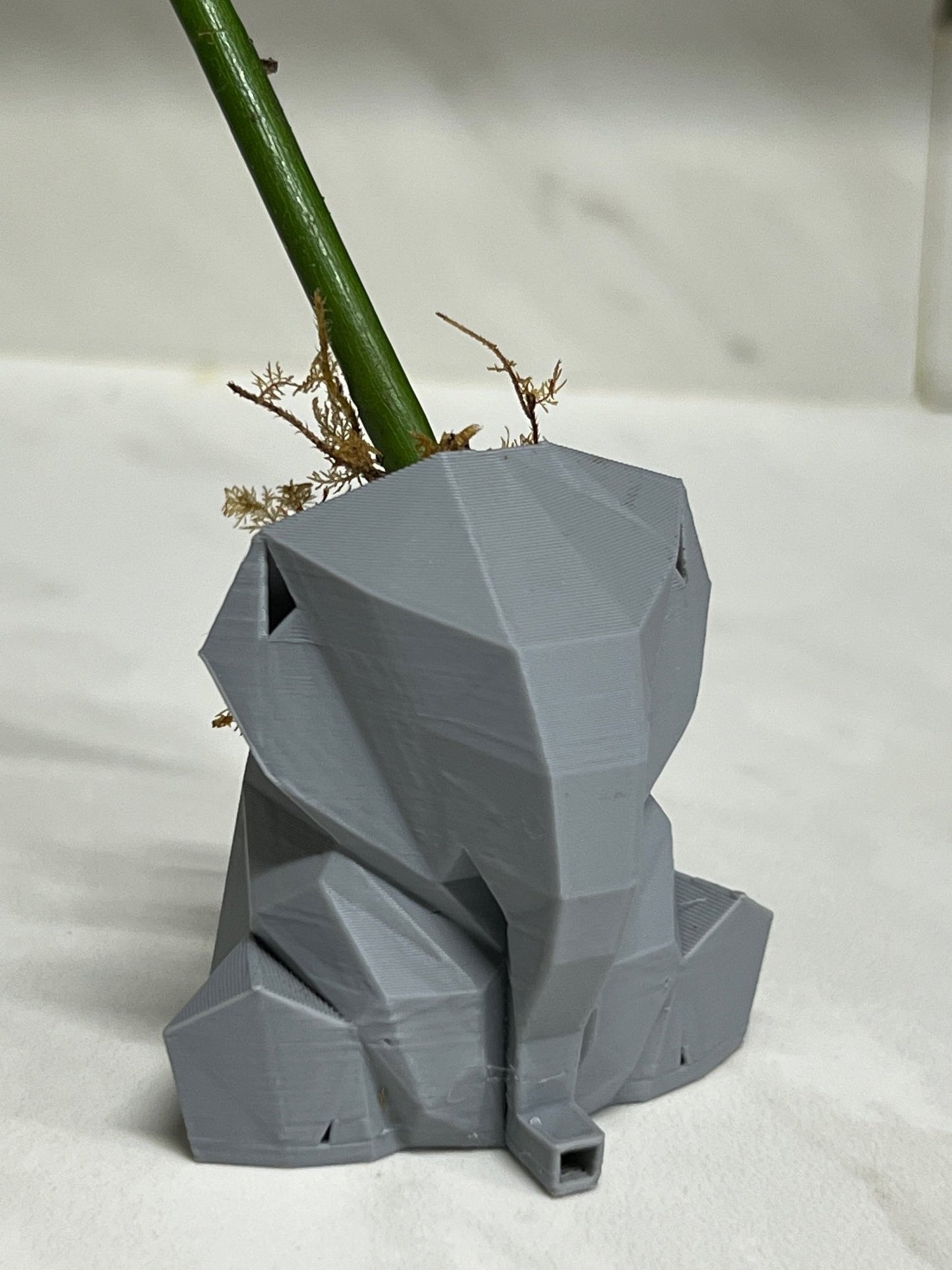 Materita para Suculentas de Elefante Sentado - VERSELL